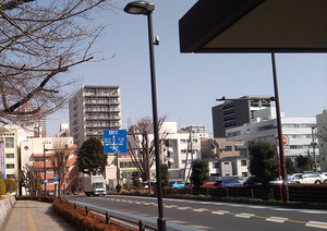 歩道照明施設設置工事(一般国道463号)の施工